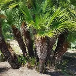 La Pineta Al Mare Erice
