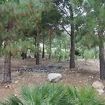 La Pineta Al Mare